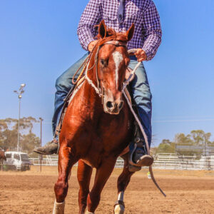 Australian Stockman’s Challenge